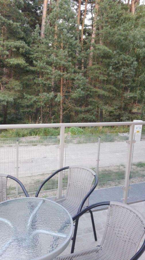 Apartament Lesny Дзивновек Экстерьер фото